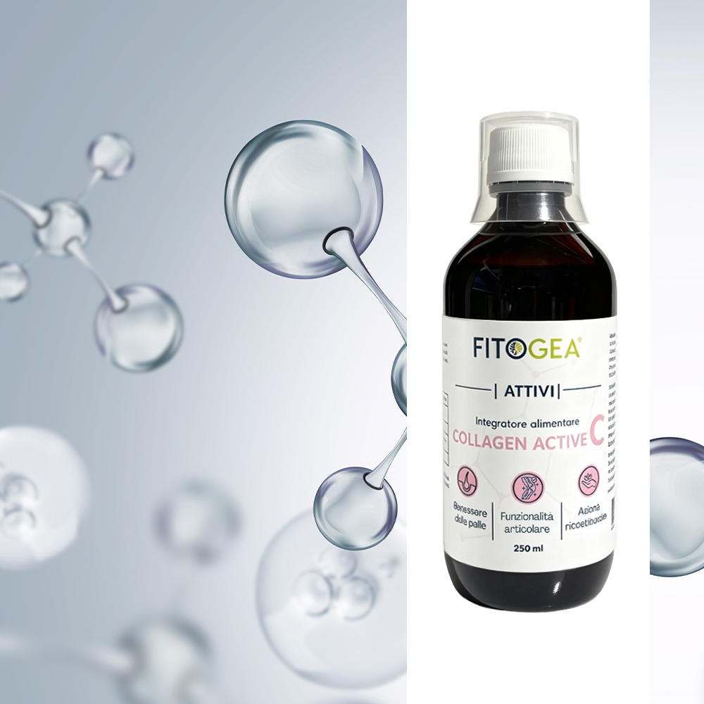 Integratore Collagen Active